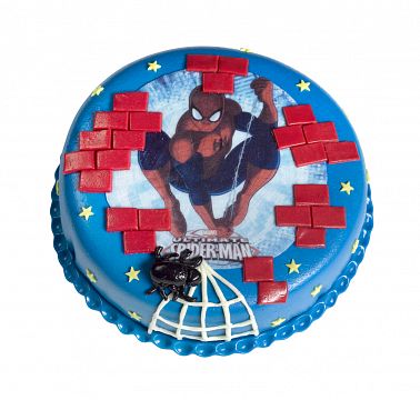 d-57-obrazkovy-dort-1500g