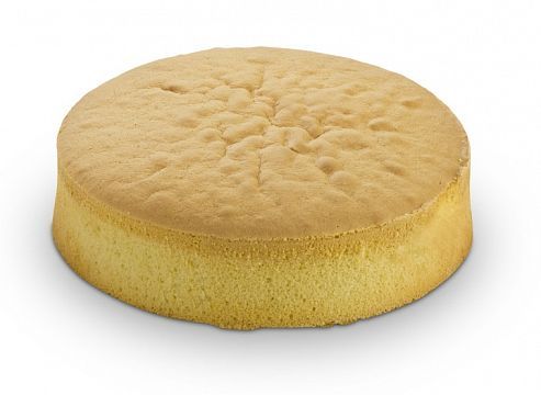 dortovy-korpus-svetly-b-450g