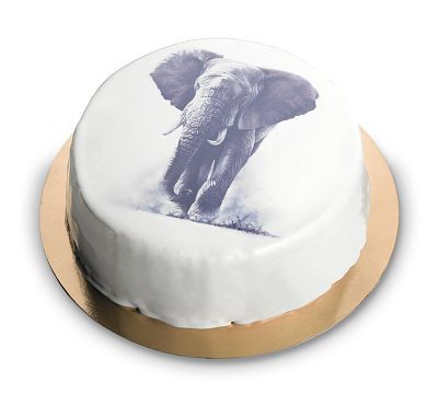 glaze-dort