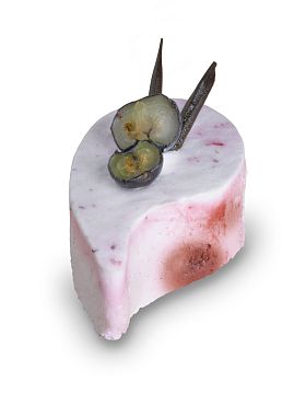 minonka-s-prichuti-boruvka-15g
