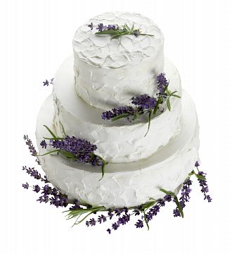 s-42-patrak-provence-2400g